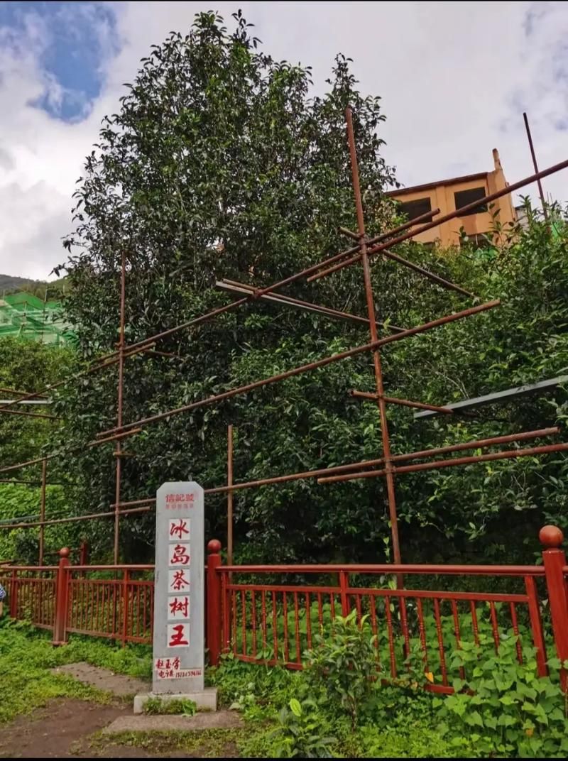  双江拉祜族佤族布朗族傣族自治县解封区核酸阳性详情:双江拉祜族佤族布朗族傣族自治县景点