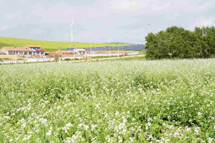 康保县最新曲线图表：寻找同轨迹人员_康保县导航
