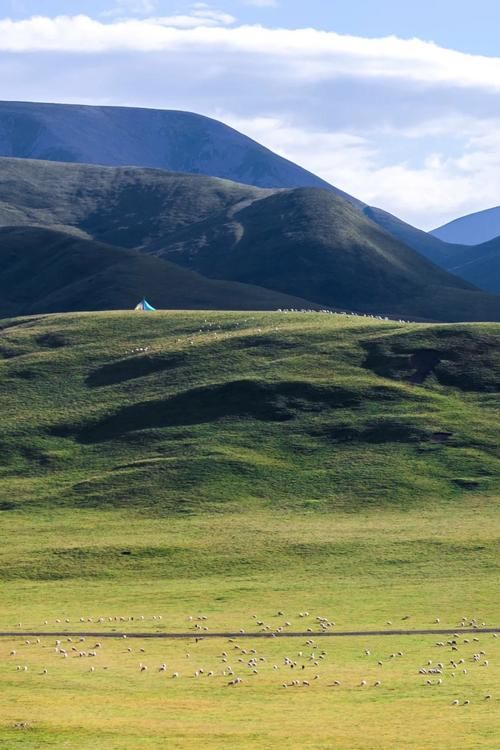 内蒙古自治区呼伦贝尔牙克石累计报告境外输入14例/呼伦贝尔牙克石是中高风险地区吗