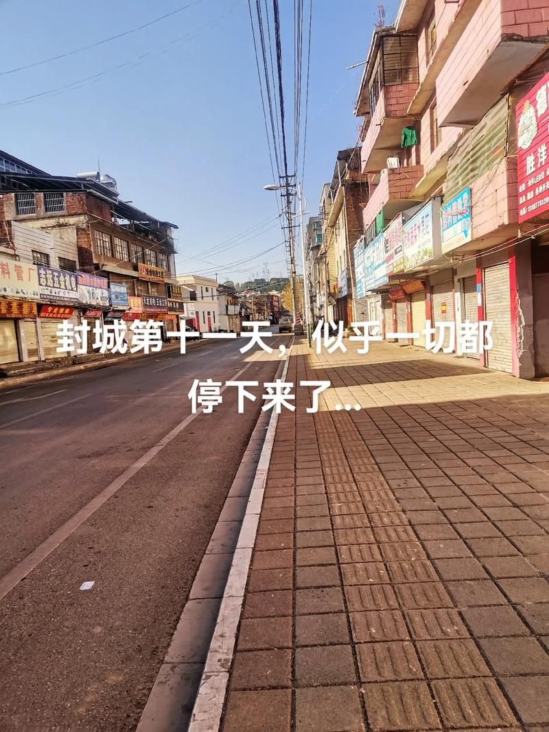 景谷傣族彝族自治县封城区重症详情/景谷县封城了吗