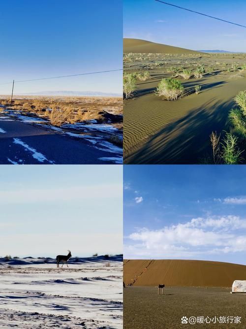 包含新疆维吾尔自治区昌吉回族自治州木垒哈萨克自治县新增13例本土确诊，涉及新疆维吾尔自治区乌鲁木齐市新市区的词条